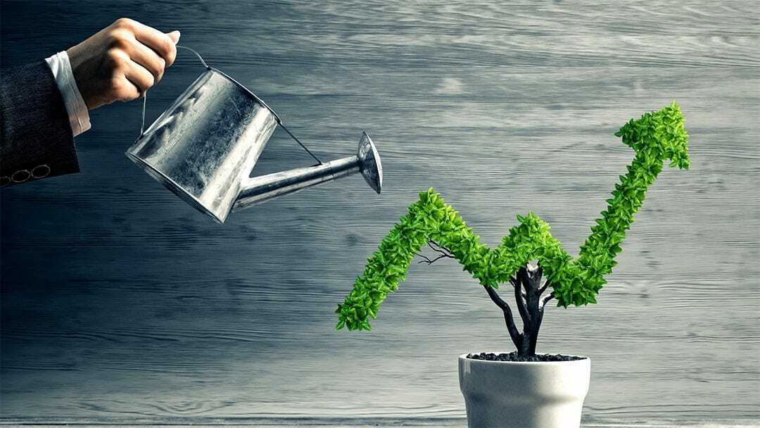 Growth Mindset in Business