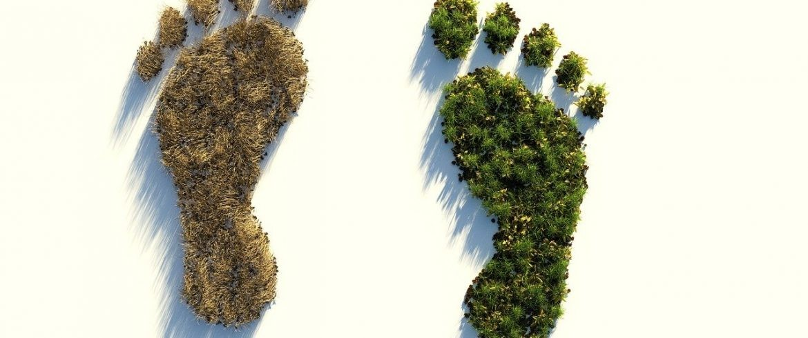 Leaving a Positive Impact