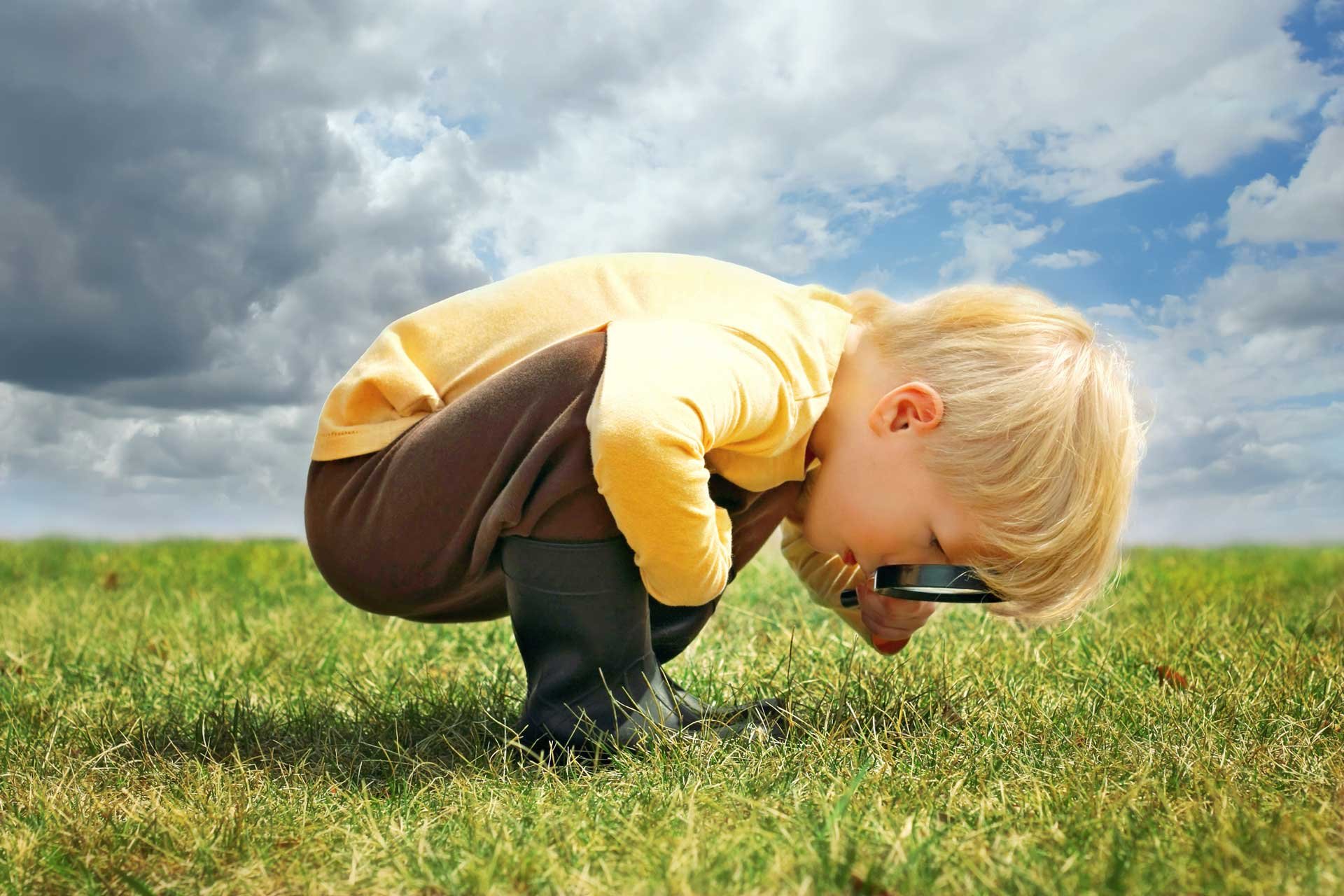 Reconnecting with Natural Curiosity